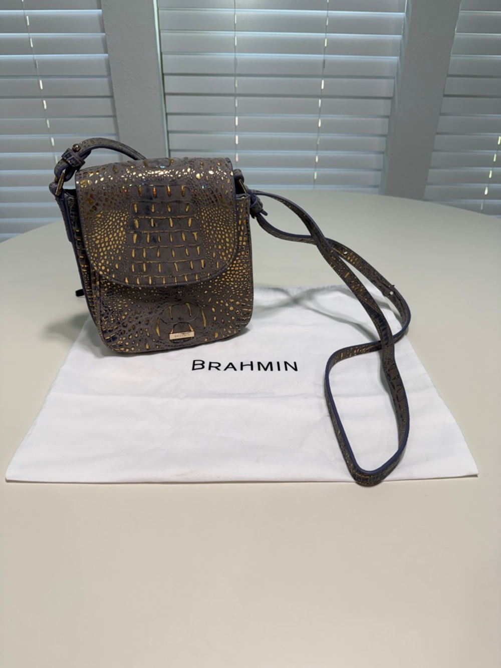 Brahmin Everlee Regal Mini Melbourne Crossbody with Gold Highlights